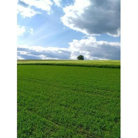 Hébergement de vacances Bender Am Burgwald Comfortable *