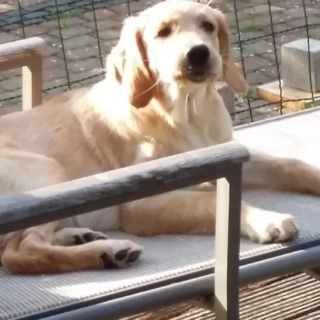 Bender Am Burgwald Comfortable * Munchhausen