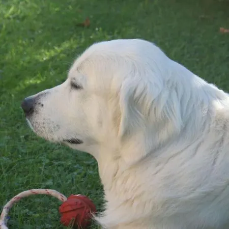 Bender Am Burgwald Comfortable Hébergement de vacances *