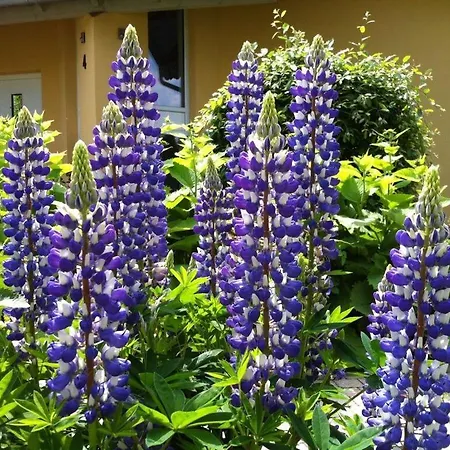 Hébergement de vacances Bender Am Burgwald Comfortable Munchhausen