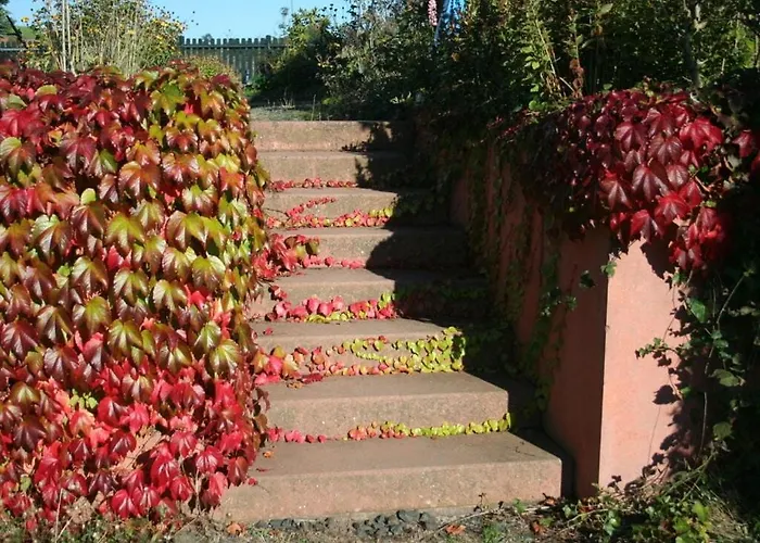 Bender Am Burgwald Comfortable * Munchhausen