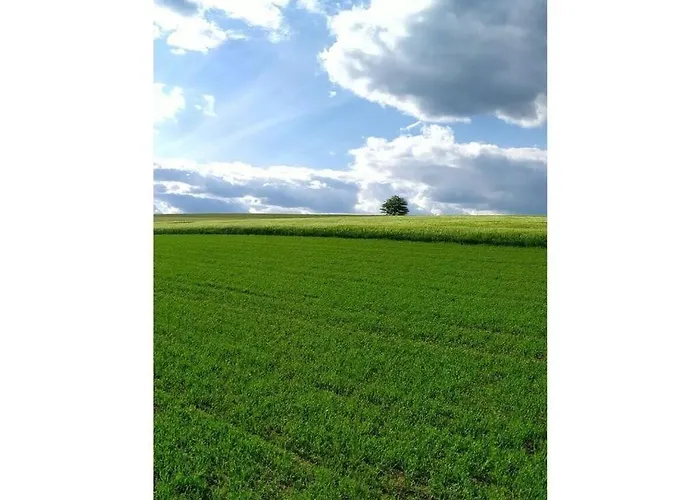 度假居 Bender Am Burgwald Comfortable *