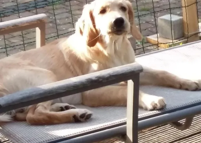 Bender Am Burgwald Comfortable * Munchhausen