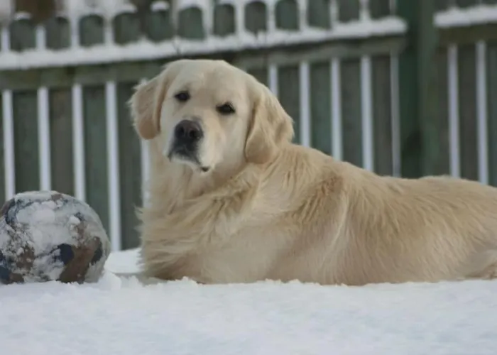 Bender Am Burgwald Comfortable 度假居 *