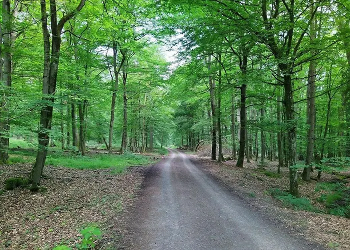 Bender Am Burgwald Comfortable